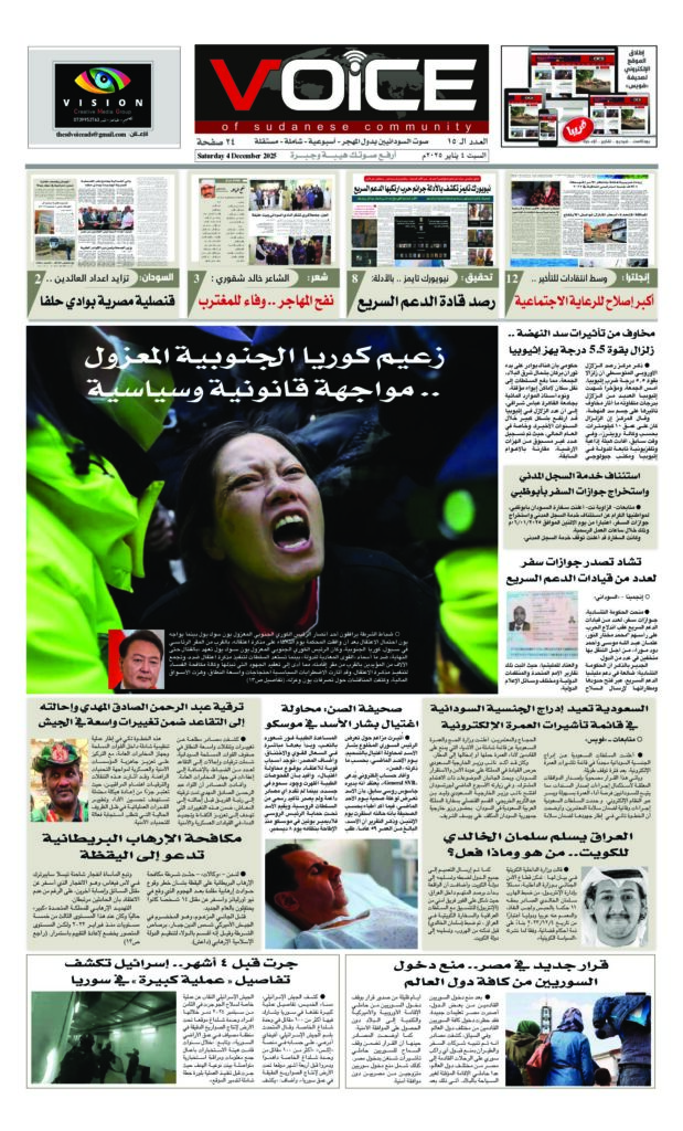 thumbnail of VOICE(ISSUE_15)_040125
