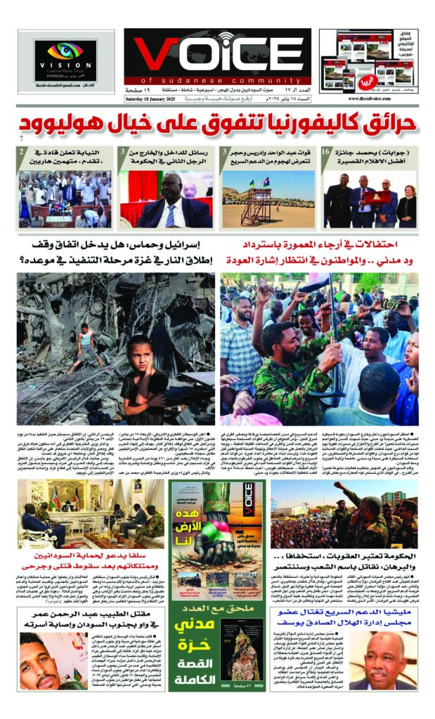 thumbnail of VOICE(ISSUE_17)_180125