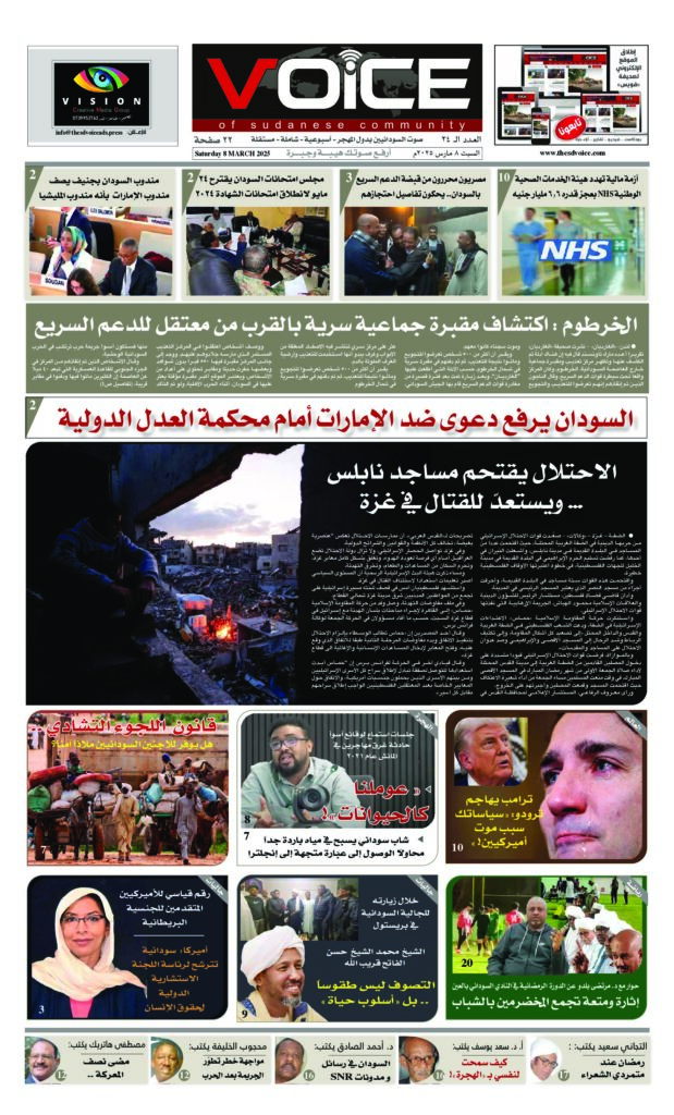 thumbnail of VOICE(ISSUE_24)_080325