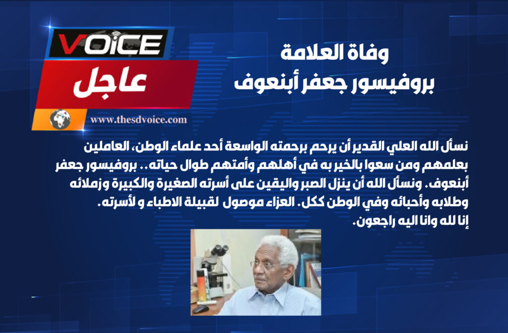 جنوب السودان2