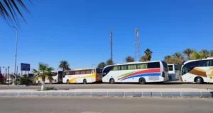 بصات وادي حلفا