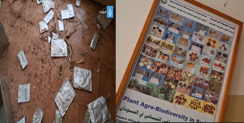 بنك الجينات