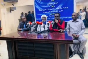 الحركات المسلحة