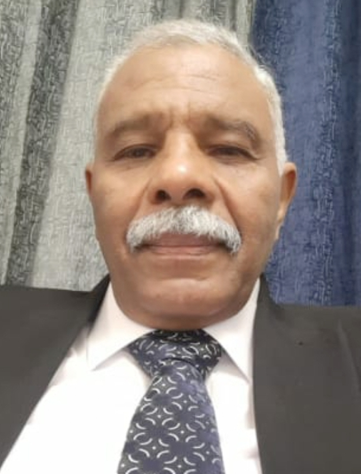 طارق فضل