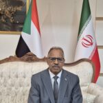 السفير عبد العزيز حسن صالح