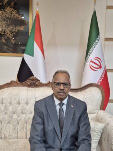 السفير عبد العزيز حسن صالح