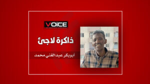 بكري عبدالغني