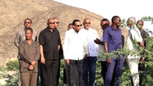 سد اربعات
