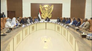 كامل إدريس والحكومة