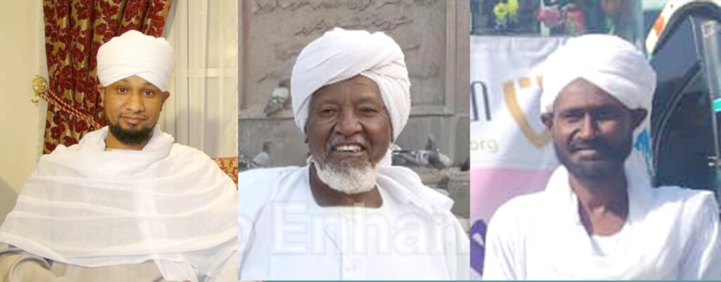 محمد عبد الحميد 2