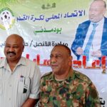والي الجزيرة١