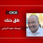 يوسف عبدالرضي2