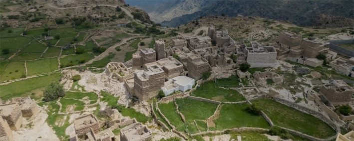 بيشة