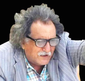محمد نجيب محمد علي