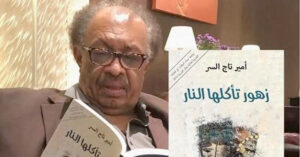 أمير تاج السر