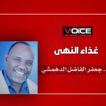 جعفر الفاضل الدهمشي