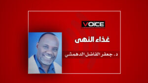 جعفر الفاضل الدهمشي