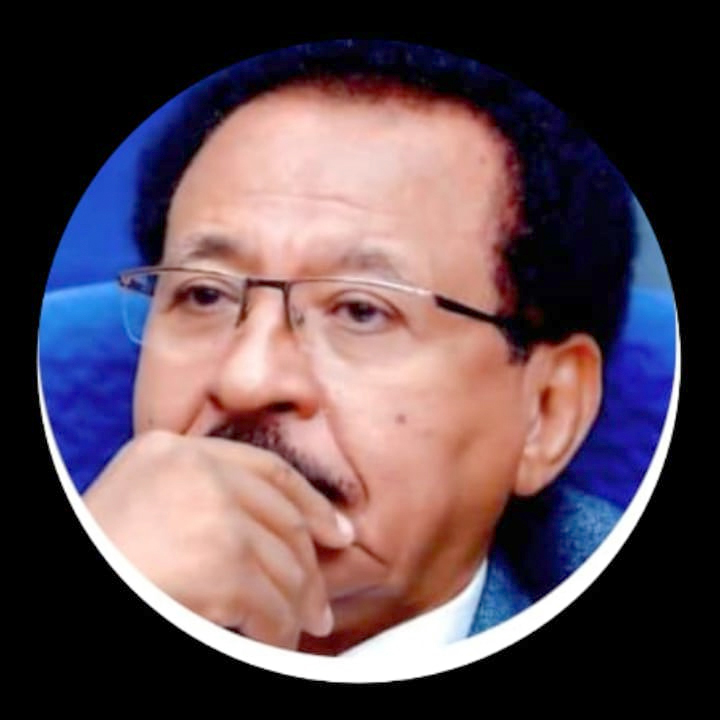 سيف الدين حسن بابكر