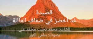 قصيدة غد
