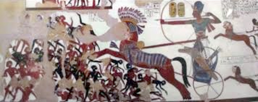 صورة رئيسية