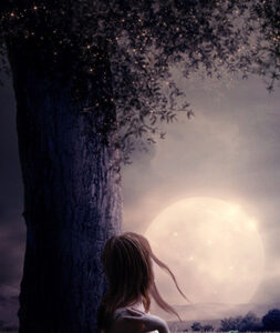 صورة شاعرية