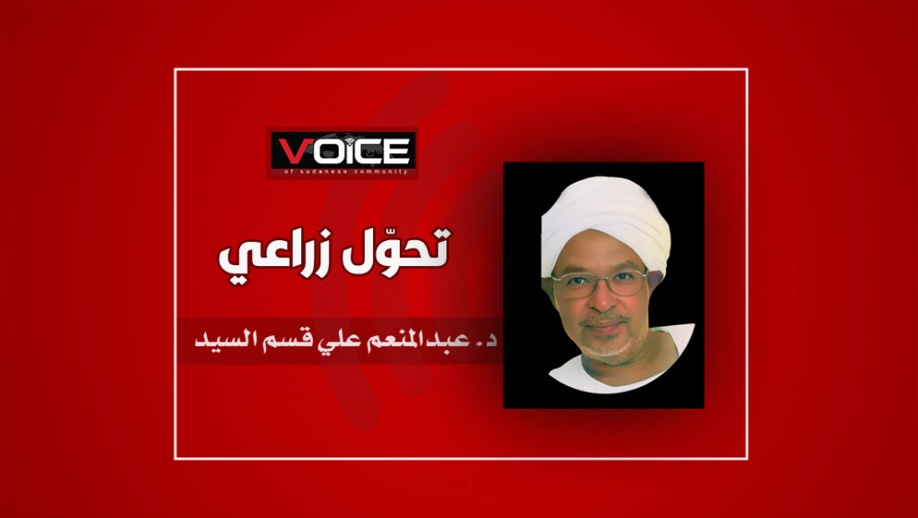 عبدالمنعم علي قسم السيد