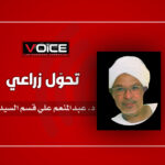 عبدالمنعم علي قسم السيد