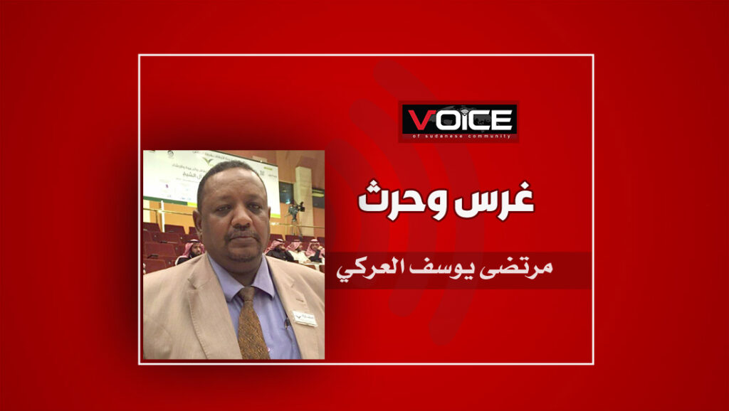 مرتضى يوسف (جديد)