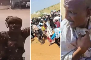 ألفاشر-1761567941