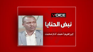إبراهيم أحمد آدم