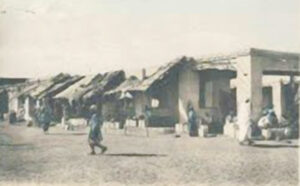 سوق الشدرة