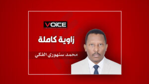 محمد سنهوري الفكي