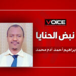 إبراهيم أحمد آدم