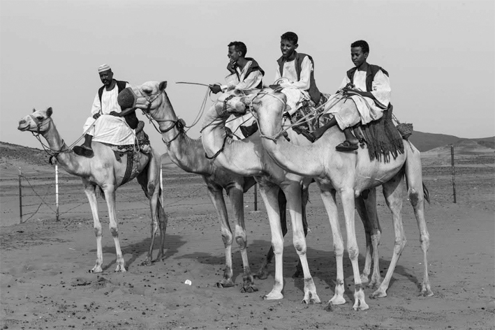 قول الكاميرا 50